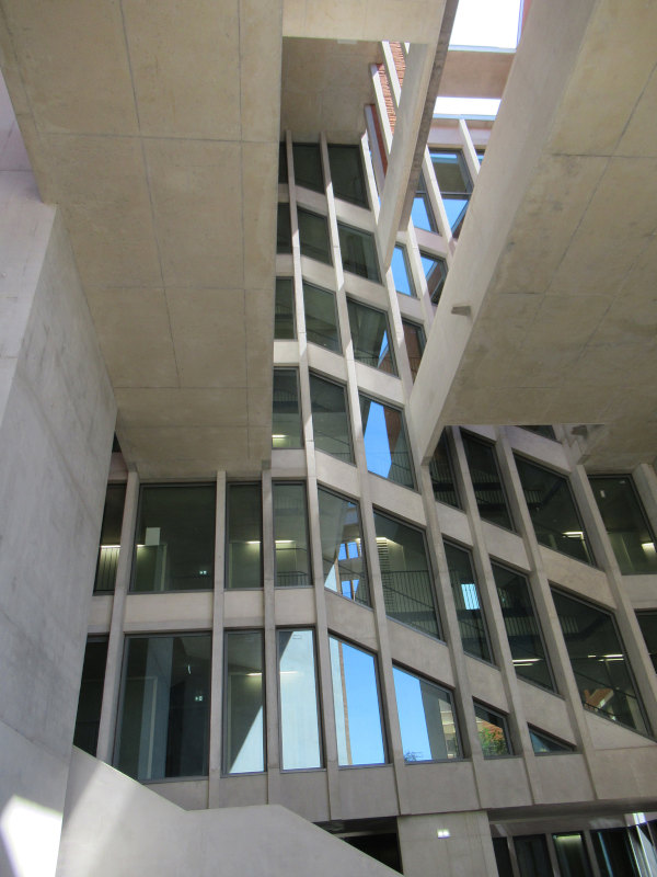 CEMEX, bon élève à la Toulouse School of Economics