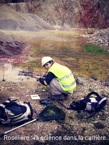 2003-2018, entre CEMEX et la LPO, un partenariat durable !