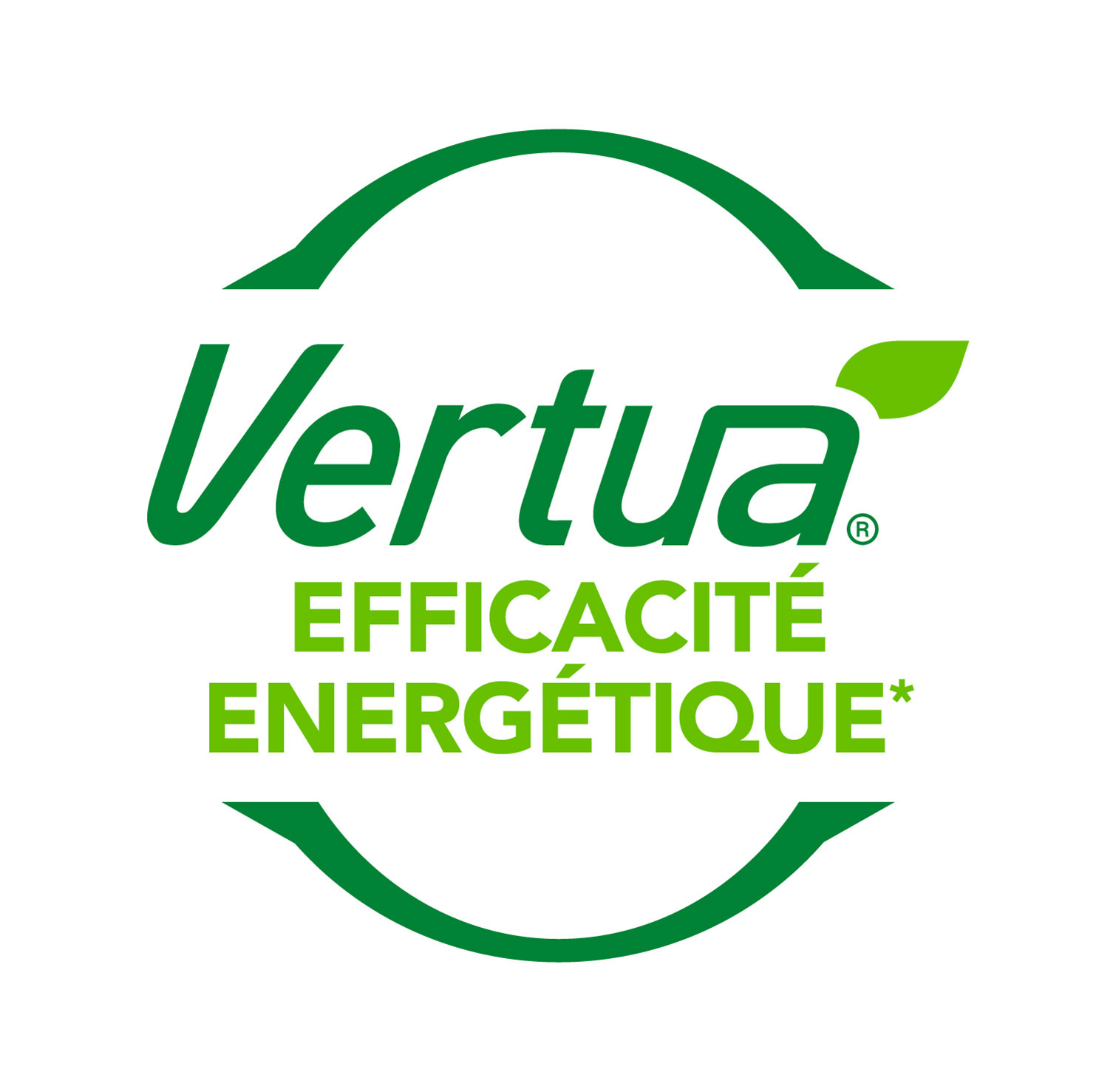 Logo Vertua Efficacité énergétique